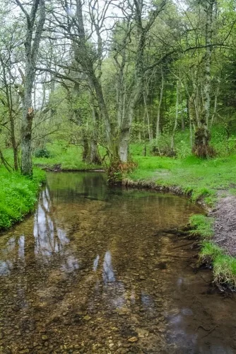 The trail follows Staindale Beck