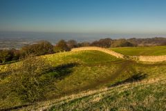 The Clump Farm estate