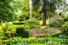 The house glimpsed from a lower terrace