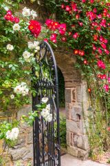 A pretty garden entrance gate