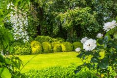 A formal lawn beside the pergola