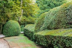 Topiary hedges near the Hall entrance