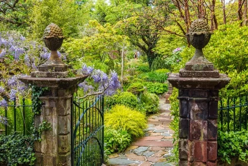 Broughton House gardens