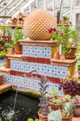 Arid climate plants in the Greenhouse