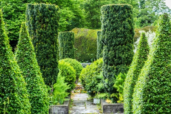 Topiary in the Sunk Garden