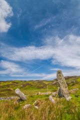 Looking roughly west across the circle