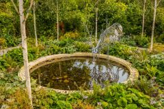 The Sensory Garden pool
