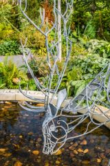 Sculpture of a stag in the Sensory Garden