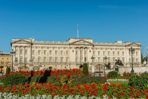 Buckingham Palace Flower Beds