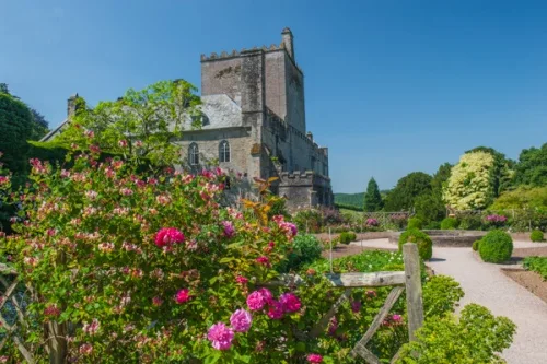 The house from the garden