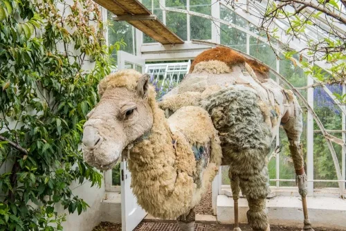 A modern sculpture in the restored greenhouses