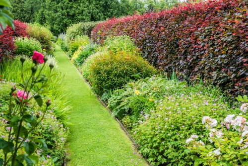 The Grass Walk