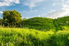 The castle earthworks from the east