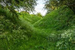 At the bottom of the castle ditch