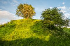 The conical castle motte