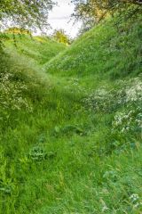 Looking south along the castle ditch