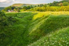 Looking north along the earthwork banks