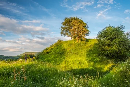 Builth Castle earthworks