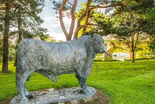 The Builth Bull sculpture in The Groe