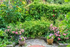 Lush gardens outside the house entrance