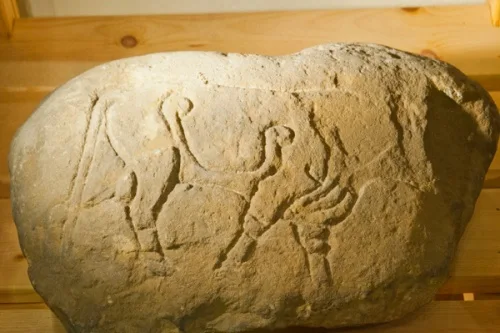 Burghead Bull carved stone