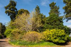 Entering the gardens