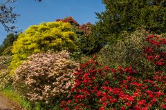 Lush colours in spring