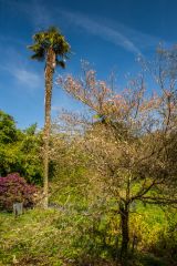 The 'long and the short of it'