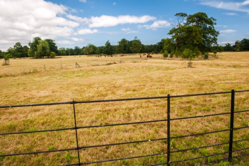 The site of Burton Constable medieval village