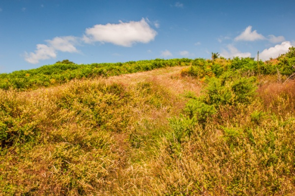 Looking across the earthwork banks