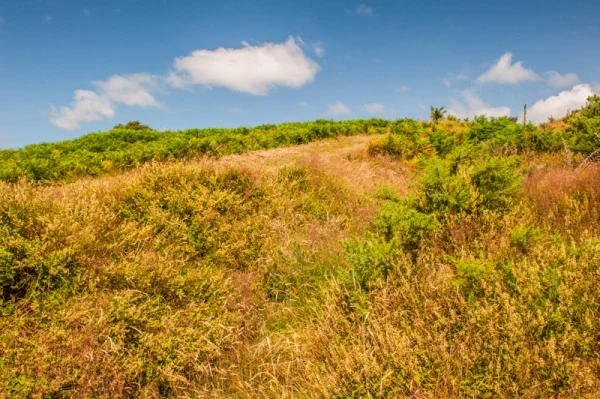 Looking across the earthwork banks