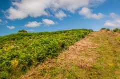 Climbing the inner earthwork bank