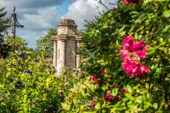 Roses and the sunken garden fountain