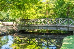 A picturesque wooden footbridge