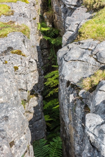 Looking down into the potholes