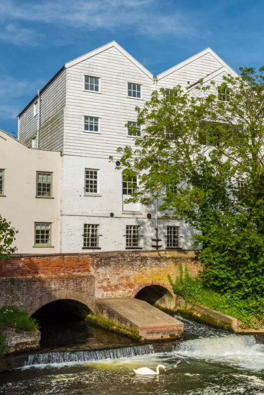 A swan swims below Buxton Mill