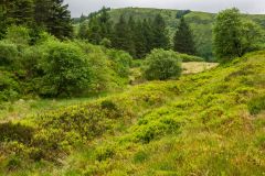Looking south along the fort earthworks