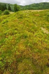 Atop the western earthworks, looking south