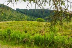 The fort from the east