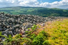 Inside the hill fort enclosure