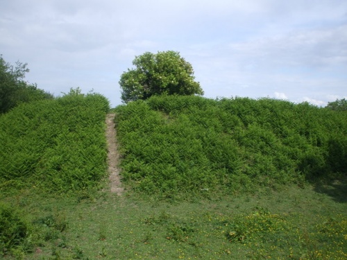 Caerau Castle Ringwork (c) John Lord