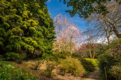 Walking along a garden trail