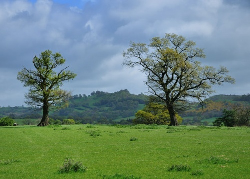 Caersws Roman Forts (c) Rod Trevaskus