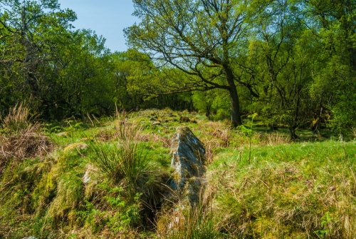 Cairnbaan Chambered Cairn from the south east