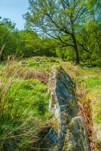Looking northeast along the cairn