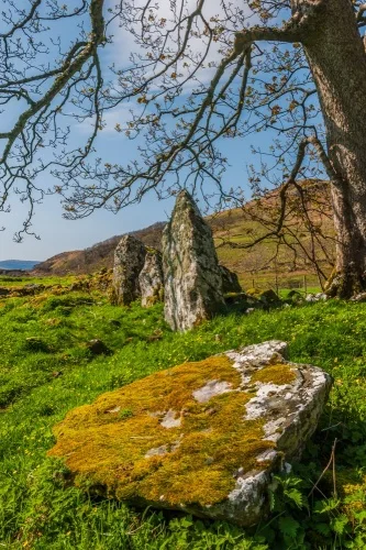 A large fallen stone
