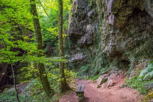 The Secret Garden and cave