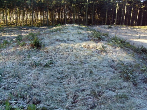 Capo Long Barrow (c) Ewen Rennie