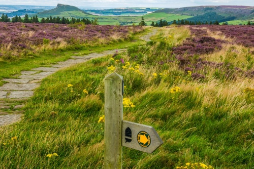 Cleveland Way, Easby Moor, Yorkshire