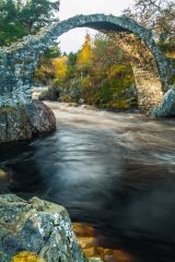 The bridge from the river bank